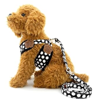 Amazon | ペット犬 猫 用 ハーネス ドット柄 かわいい 小型犬 超